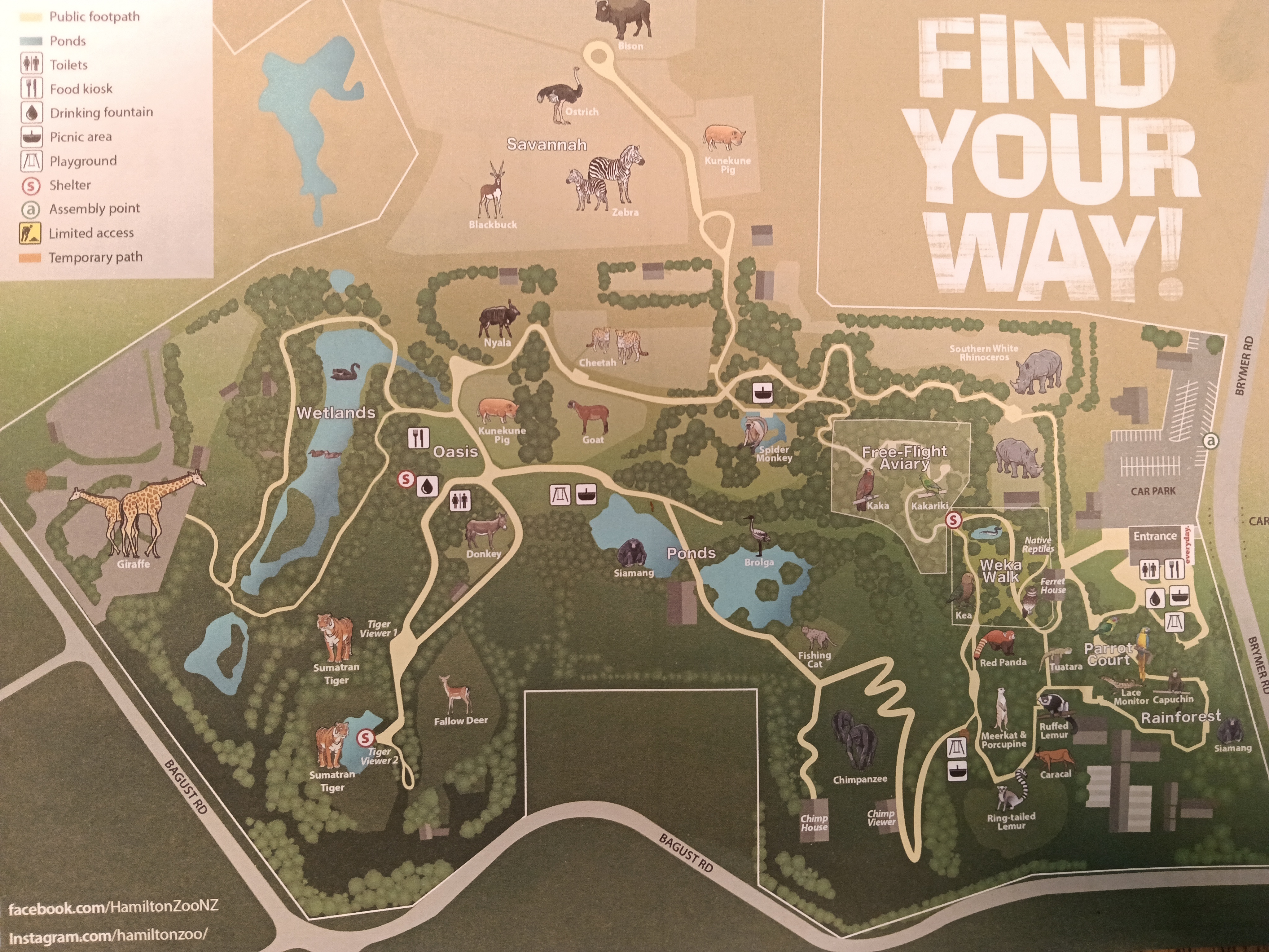 Hamilton Zoo Map for Year 6